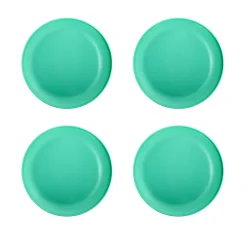 The Big One® 4-pc. Plastic Dinner Plate Set